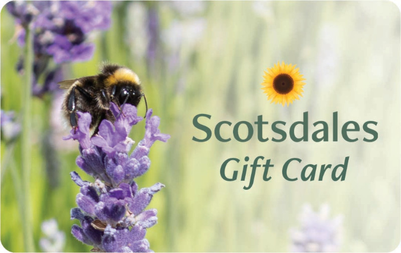 Scotsdales Gift Cards